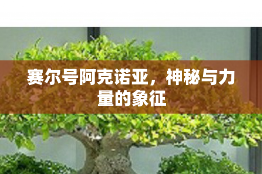 赛尔号阿克诺亚,神秘与力量的象征 赛尔号阿克诺亚,神秘与力量的象征