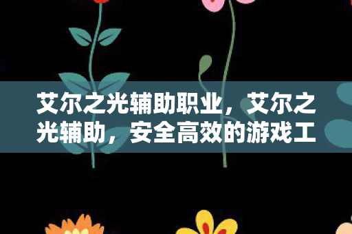 艾尔之光辅助职业，艾尔之光辅助，安全高效的游戏工具