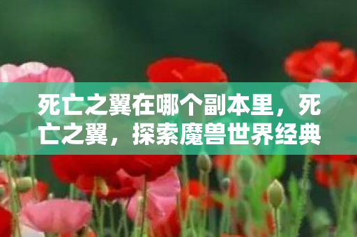 死亡之翼在哪个副本里，死亡之翼，探索魔兽世界经典副本的传奇之旅