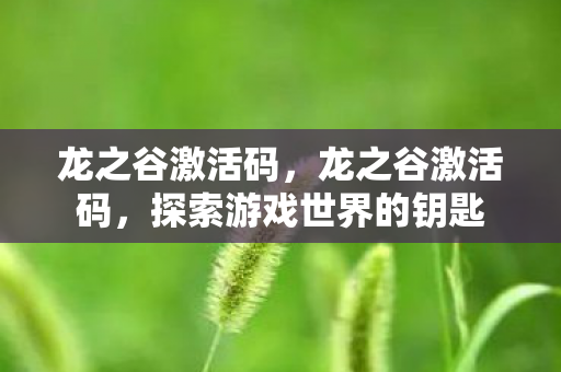 龙之谷激活码，龙之谷激活码，探索游戏世界的钥匙
