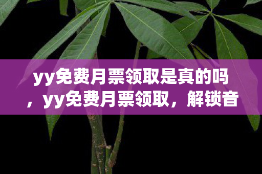 yy免费月票领取是真的吗，yy免费月票领取，解锁音乐世界的钥匙