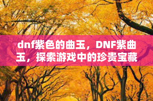 dnf紫色的曲玉，DNF紫曲玉，探索游戏中的珍贵宝藏