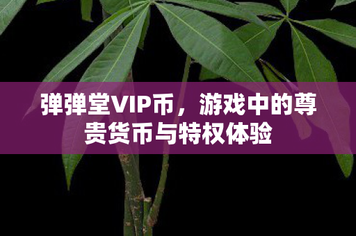 弹弹堂VIP币,游戏中的尊贵货币与特权体验 弹弹堂VIP币,游戏中的尊贵货币与特权体验