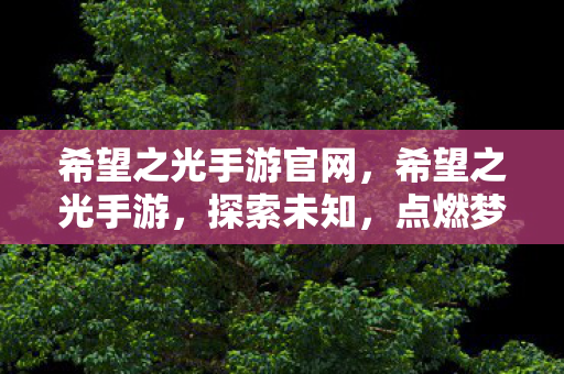 希望之光手游官网，希望之光手游，探索未知，点燃梦想之光