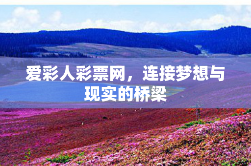 爱彩人彩票网，连接梦想与现实的桥梁