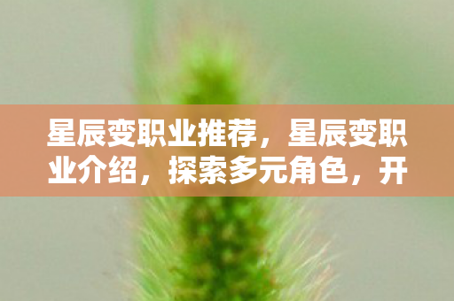 星辰变职业推荐，星辰变职业介绍，探索多元角色，开启奇幻之旅