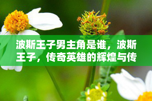 波斯王子男主角是谁，波斯王子，传奇英雄的辉煌与传奇