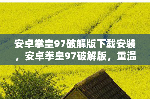 安卓拳皇97破解版下载安装，安卓拳皇97破解版，重温经典，畅享无限