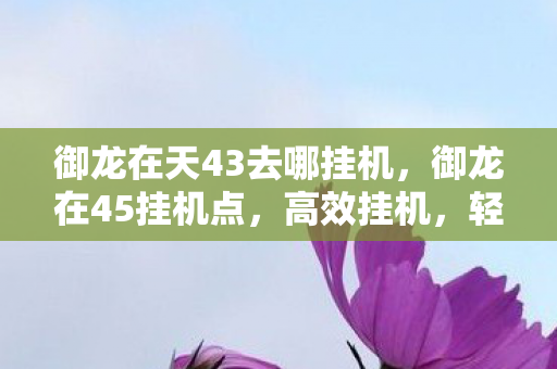 御龙在天43去哪挂机，御龙在45挂机点，高效挂机，轻松升级