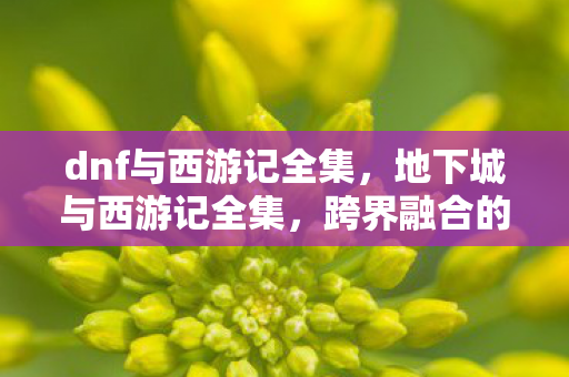 dnf与西游记全集，地下城与西游记全集，跨界融合的奇幻冒险
