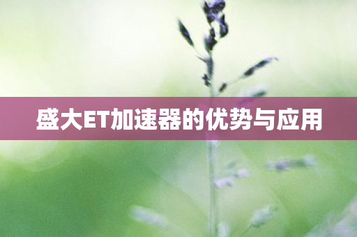 盛大ET加速器的优势与应用