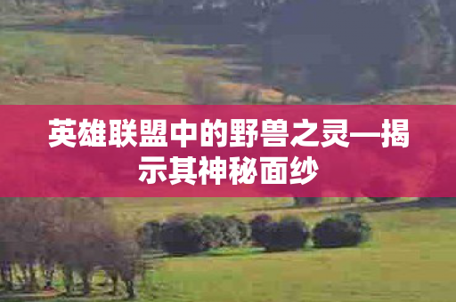 英雄联盟中的野兽之灵—揭示其神秘面纱