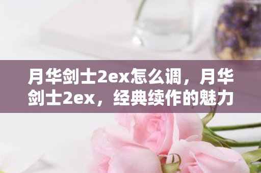 月华剑士2ex怎么调，月华剑士2ex，经典续作的魅力与挑战
