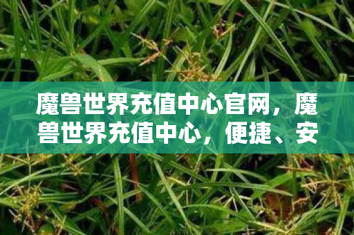 魔兽世界充值中心官网，魔兽世界充值中心，便捷、安全、高效的充值体验