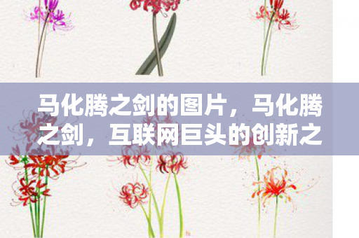 马化腾之剑的图片，马化腾之剑，互联网巨头的创新之路与未来展望