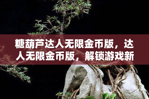 糖葫芦达人无限金币版，达人无限金币版，解锁游戏新境界，畅享无限可能