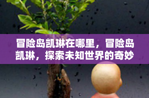 冒险岛凯琳在哪里，冒险岛凯琳，探索未知世界的奇妙之旅