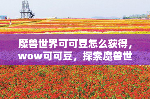 魔兽世界可可豆怎么获得，wow可可豆，探索魔兽世界私服背后的独特魅力与玩家心声