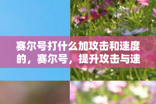 赛尔号打什么加攻击和速度的，赛尔号，提升攻击与速度的战斗策略