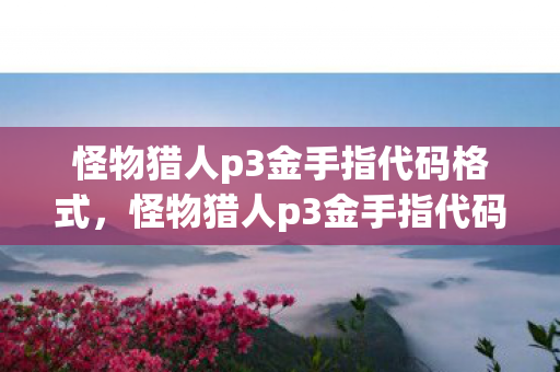 怪物猎人p3金手指代码格式，怪物猎人p3金手指代码使用指南