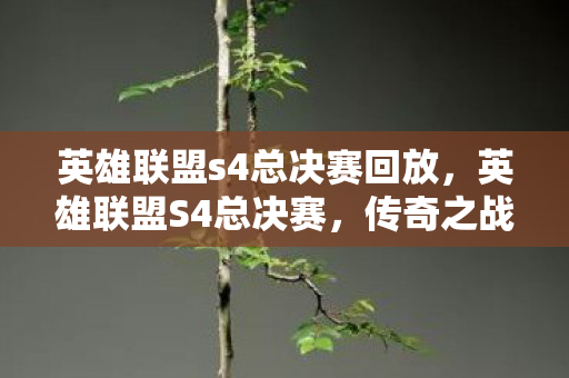 英雄联盟s4总决赛回放，英雄联盟S4总决赛，传奇之战的幕后故事