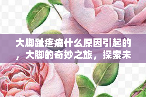 大脚趾疼痛什么原因引起的，大脚的奇妙之旅，探索未知的游戏世界