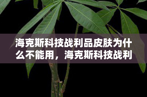 海克斯科技战利品皮肤为什么不能用，海克斯科技战利商店，探索虚拟世界的无限可能