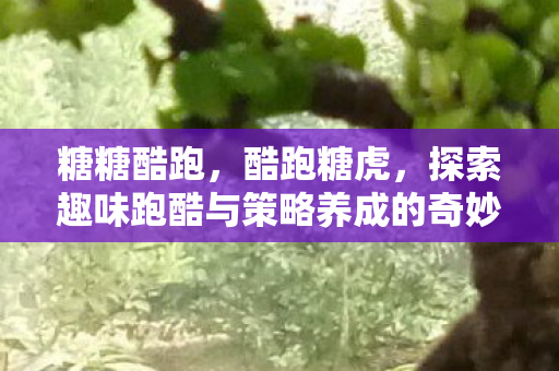 糖糖酷跑，酷跑糖虎，探索趣味跑酷与策略养成的奇妙结合