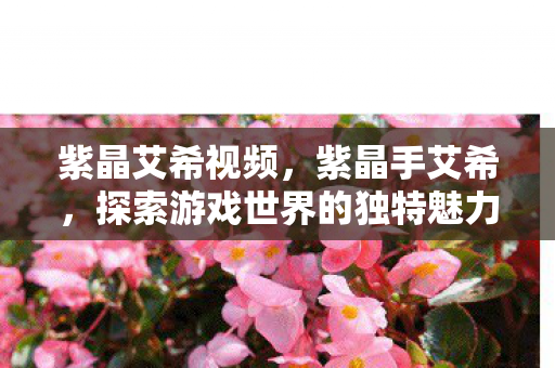 紫晶艾希视频，紫晶手艾希，探索游戏世界的独特魅力