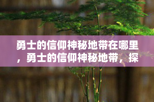 勇士的信仰神秘地带在哪里，勇士的信仰神秘地带，探索未知的游戏世界
