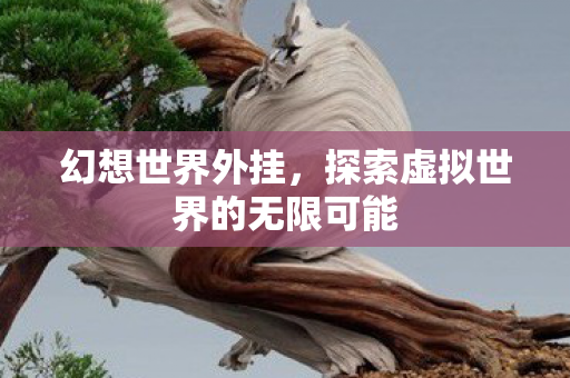 幻想世界外挂，探索虚拟世界的无限可能