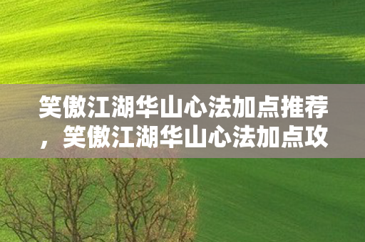 笑傲江湖华山心法加点推荐，笑傲江湖华山心法加点攻略，打造最强华山派弟子