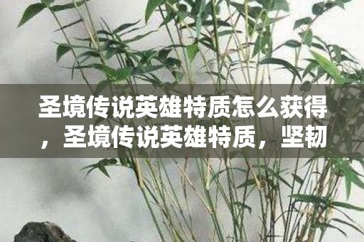 圣境传说英雄特质怎么获得，圣境传说英雄特质，坚韧不拔的勇者之心