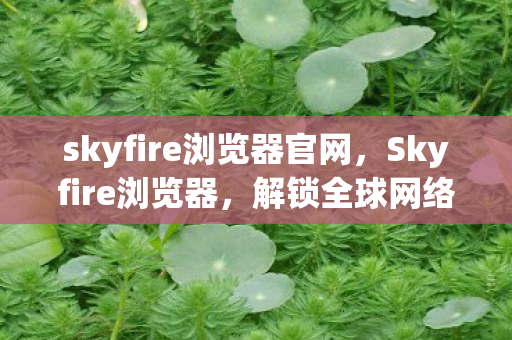 skyfire浏览器官网，Skyfire浏览器，解锁全球网络的无界之旅