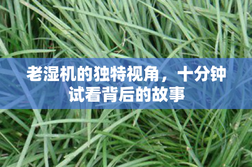 老湿机的独特视角，十分钟试看背后的故事