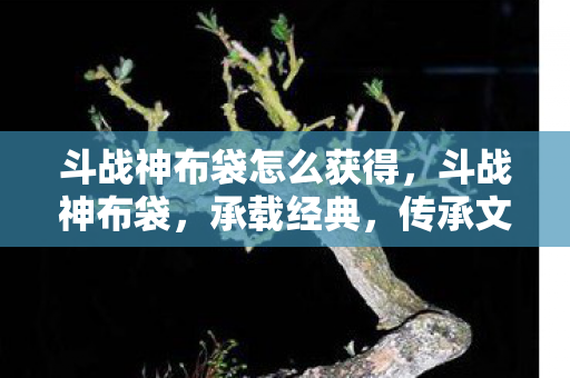 斗战神布袋怎么获得，斗战神布袋，承载经典，传承文化