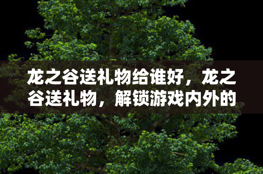 龙之谷送礼物给谁好，龙之谷送礼物，解锁游戏内外的惊喜与感动