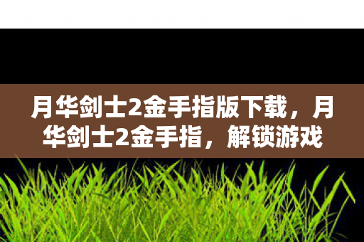 月华剑士2金手指版下载，月华剑士2金手指，解锁游戏新境界的秘籍