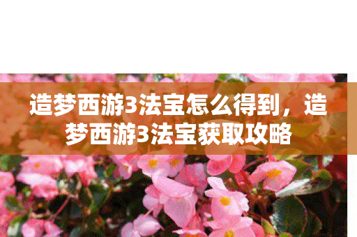 造梦西游3法宝怎么得到，造梦西游3法宝获取攻略