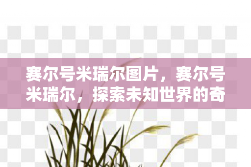 赛尔号米瑞尔图片，赛尔号米瑞尔，探索未知世界的奇妙之旅