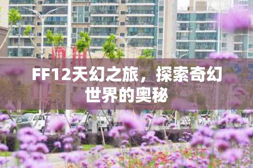 FF12天幻之旅，探索奇幻世界的奥秘