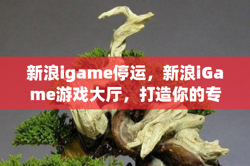 新浪igame停运，新浪iGame游戏大厅，打造你的专属游戏乐园