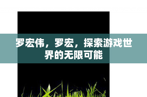 罗宏伟，罗宏，探索游戏世界的无限可能
