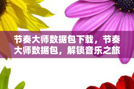 节奏大师数据包下载，节奏大师数据包，解锁音乐之旅的无限可能