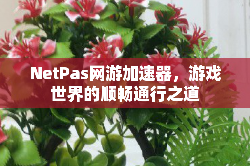 NetPas网游加速器,游戏世界的顺畅通行之道 NetPas网游加速器,游戏世界的顺畅通行之道