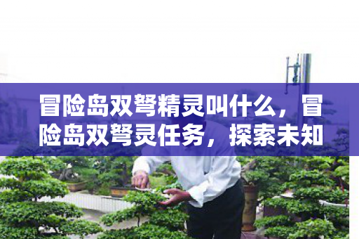 冒险岛双弩精灵叫什么，冒险岛双弩灵任务，探索未知世界的奇妙之旅