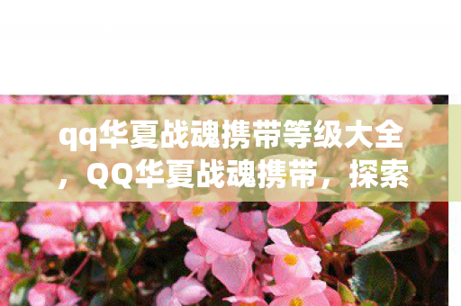 qq华夏战魂携带等级大全，QQ华夏战魂携带，探索官方授权与玩家社区的互动