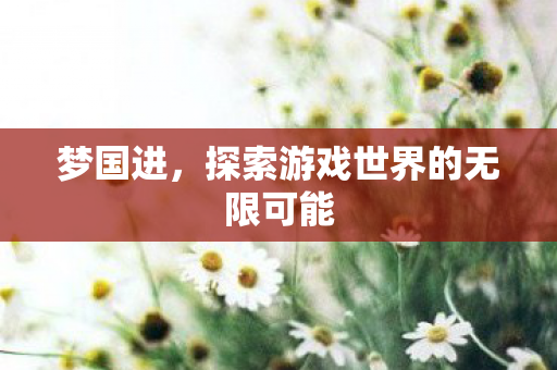 梦国进，探索游戏世界的无限可能
