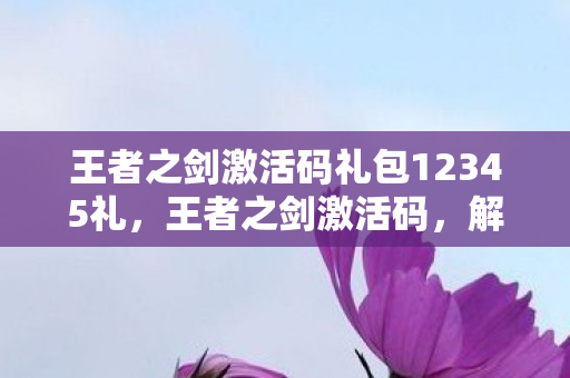 王者之剑激活码礼包12345礼，王者之剑激活码，解锁无限可能的神秘钥匙
