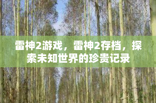 雷神2游戏，雷神2存档，探索未知世界的珍贵记录